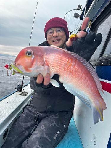 アマダイの釣果