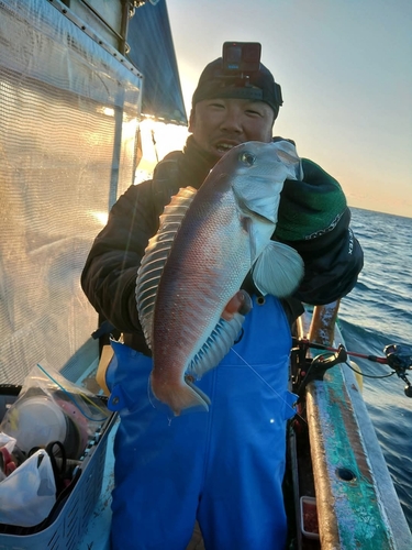 シロアマダイの釣果