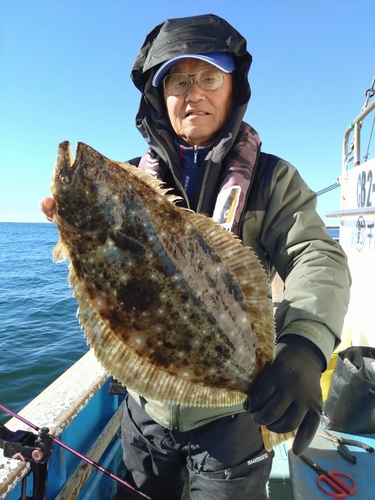 ヒラメの釣果