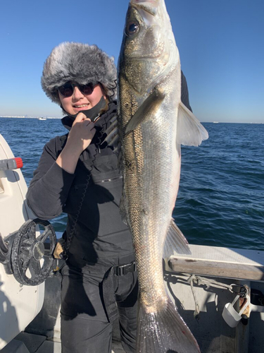 スズキの釣果