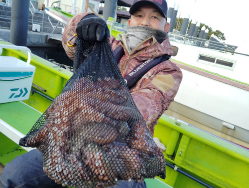 マダコの釣果