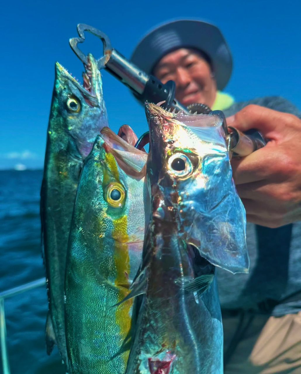 甲斐大地さんの釣果 2枚目の画像