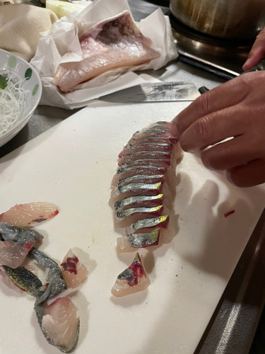 シマアジの釣果