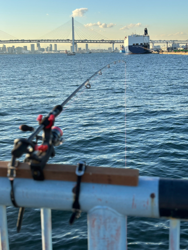 大黒海づり施設