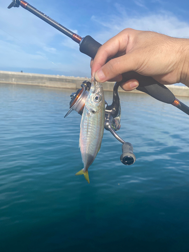 魚津補助港