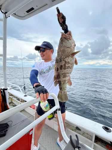 チャイロマルハタの釣果