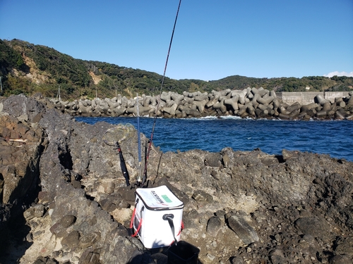 シマアジの釣果