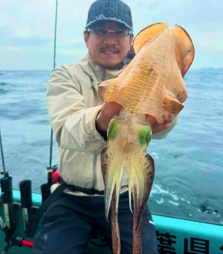 イカの釣果