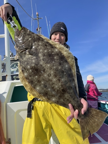 ヒラメの釣果