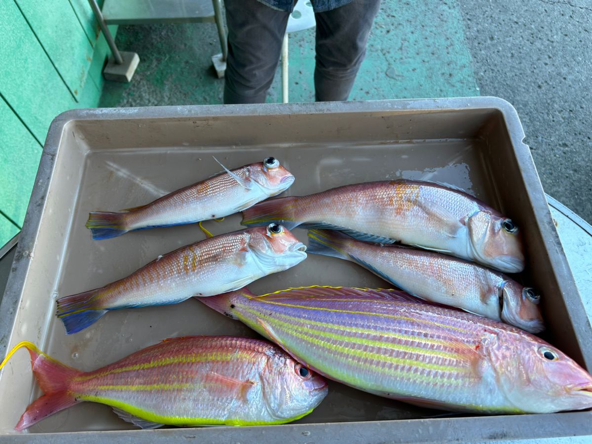 ふな虫さんの釣果 2枚目の画像