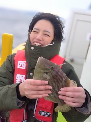 カワハギの釣果