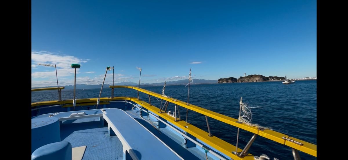 岡ちゃんの釣り日記さんの釣果 3枚目の画像
