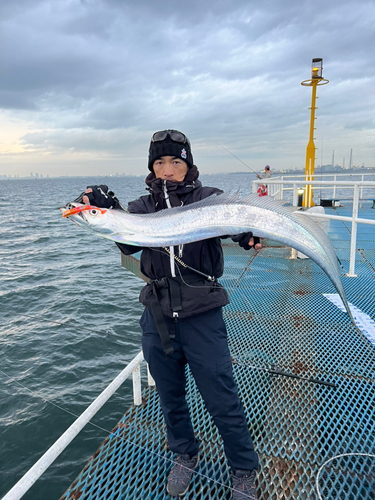 タチウオの釣果