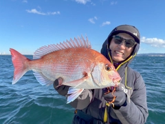 タイの釣果