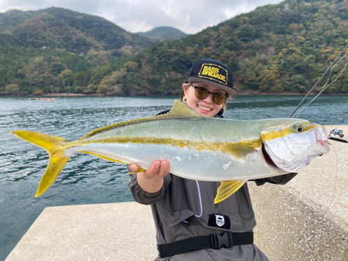 ヒラマサの釣果