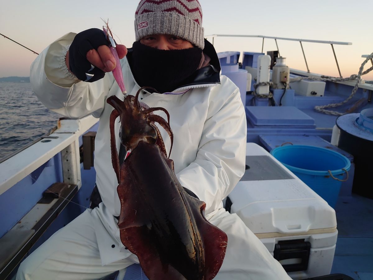 丸伊丸@長井港さんの釣果 2枚目の画像