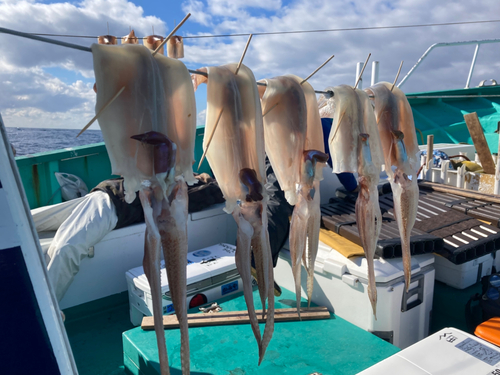 スルメイカの釣果