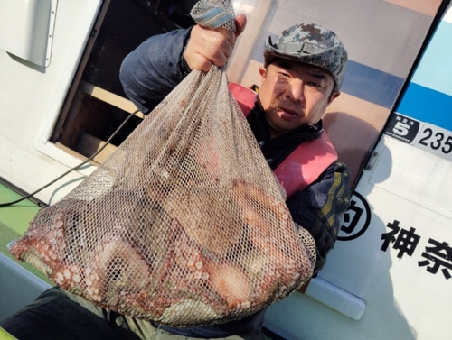 マダコの釣果