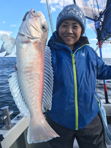 シロアマダイの釣果