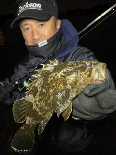 タケノコメバルの釣果