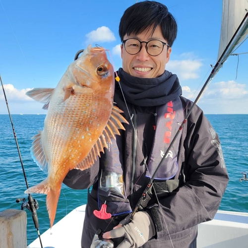 マダイの釣果