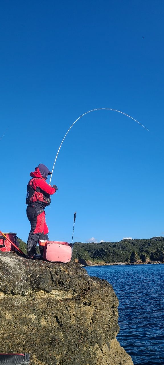 セノーさんの釣果 1枚目の画像