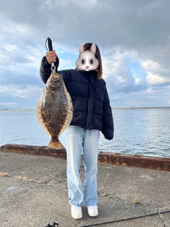 ヒラメの釣果