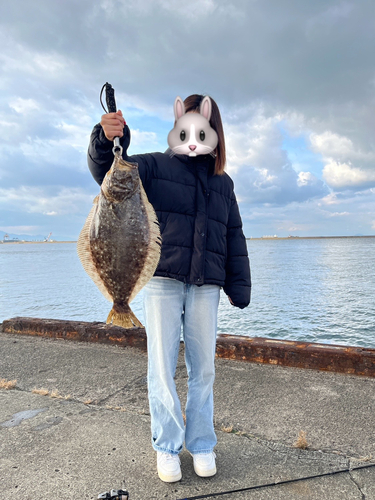 ヒラメの釣果