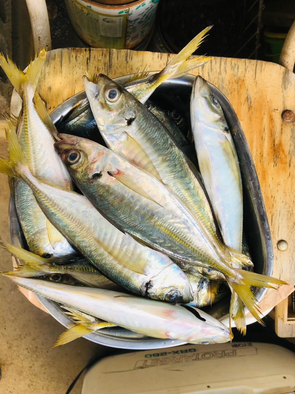 べろべろ坊主さんの釣果 3枚目の画像