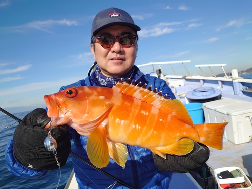 アカハタの釣果