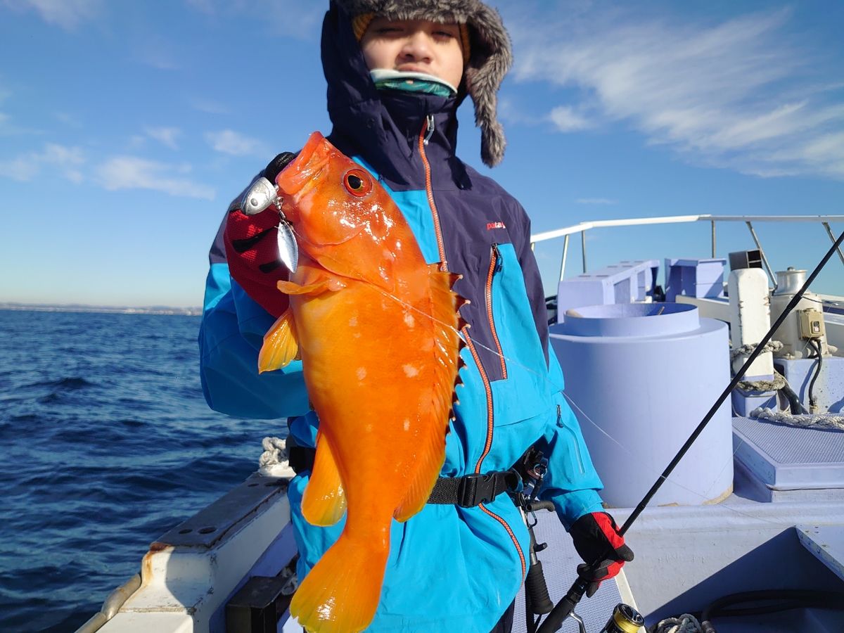 丸伊丸@長井港さんの釣果 2枚目の画像