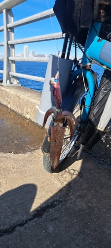 検見川浜突堤