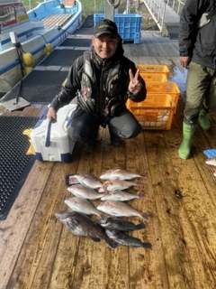 マダイの釣果