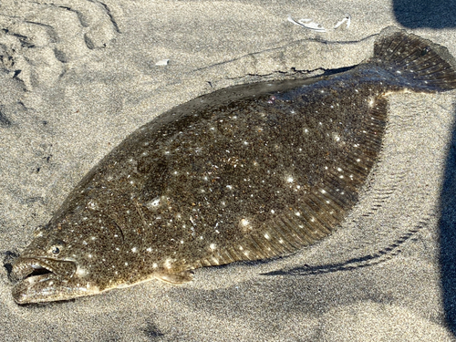 鹿島灘