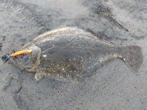 滝浜エメラルドビーチ