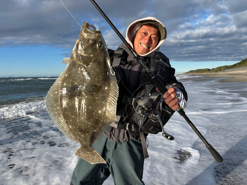 ヒラメの釣果