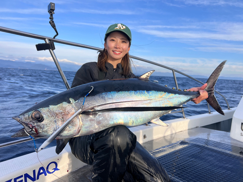 ビンチョウマグロの釣果