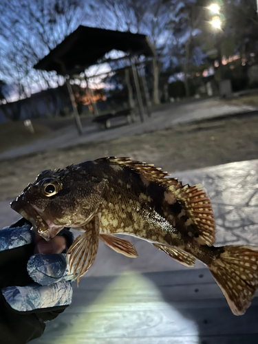 海辺つり公園