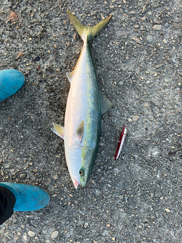 表浜名湖