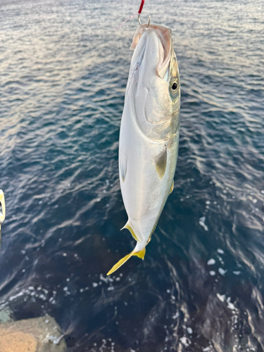 松川浦港