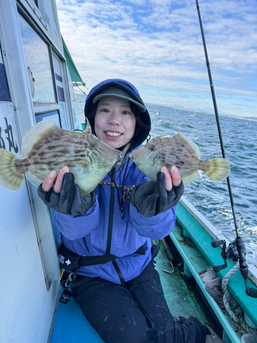 カワハギの釣果