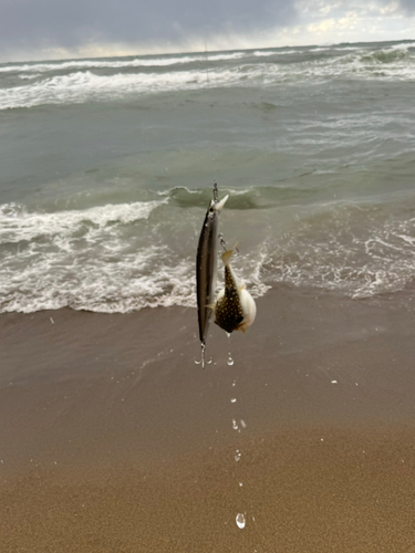 釣果