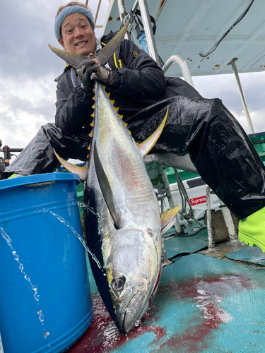 キハダマグロの釣果