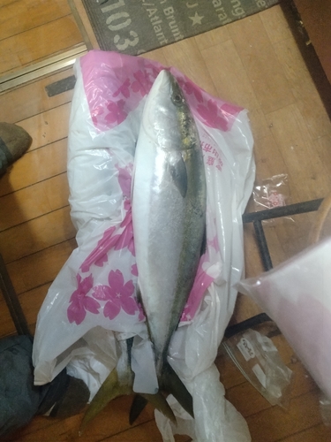 釣果