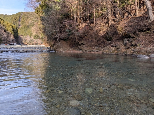 イワナの釣果