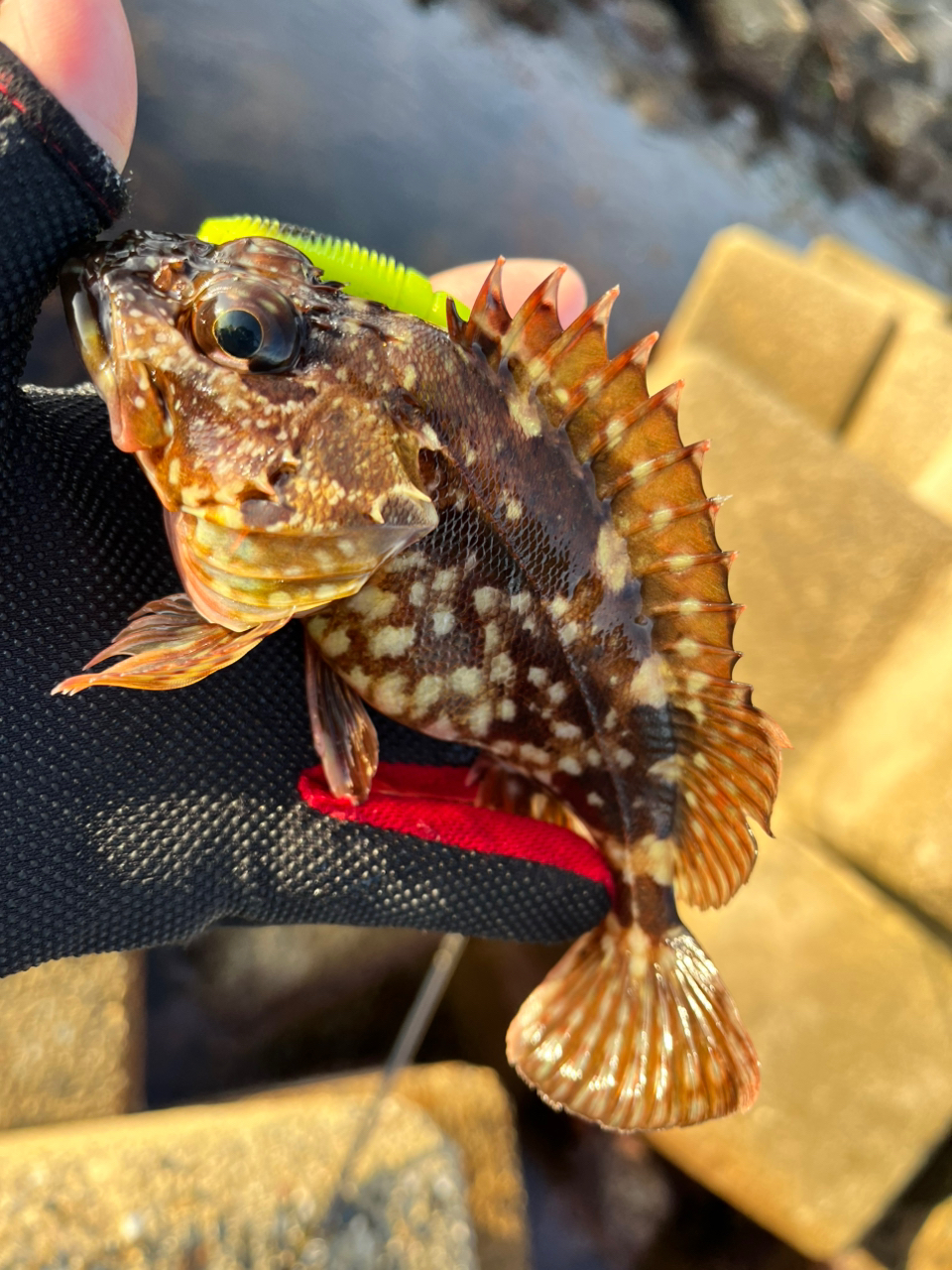AbuGarcia クロスフィールド XRFC-704M-MBの最安値・インプレ