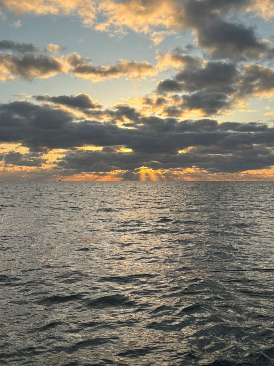 イカ次郎さんの釣果 3枚目の画像