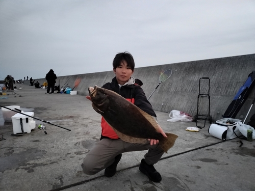 ヒラメの釣果