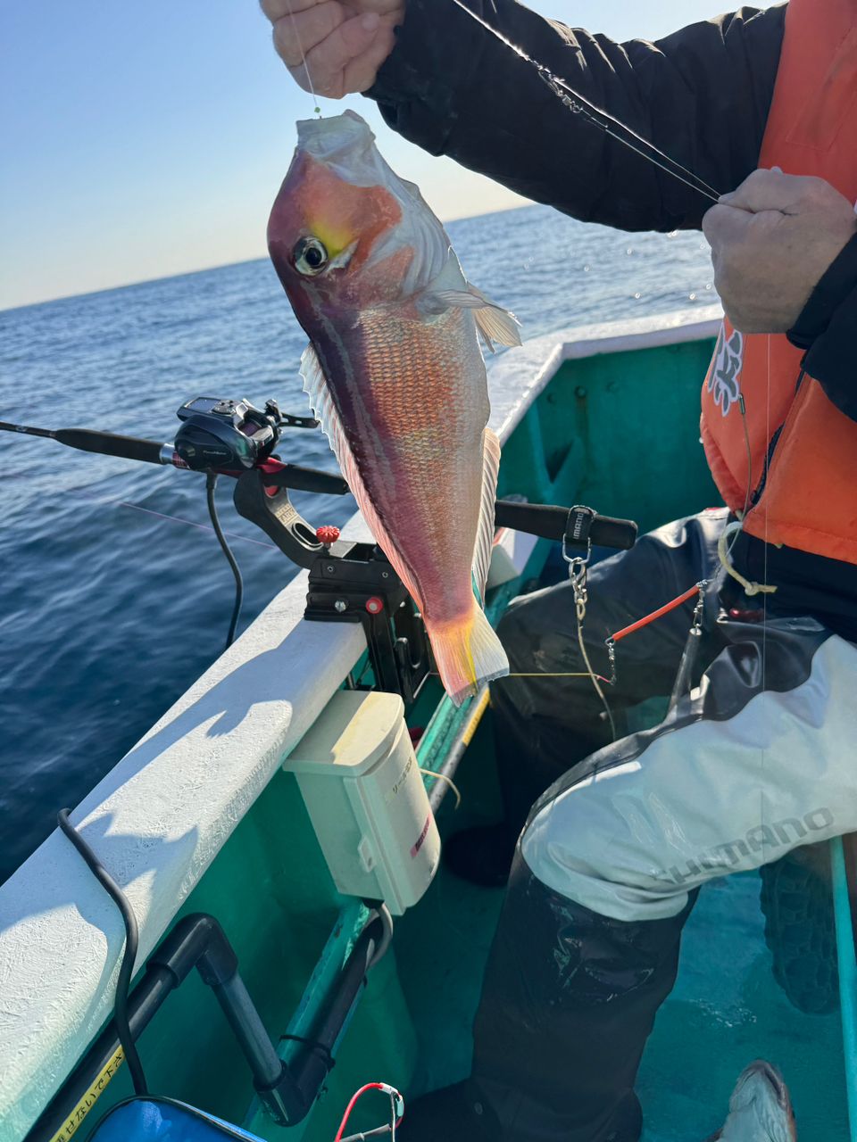 358丸さんの釣果 3枚目の画像