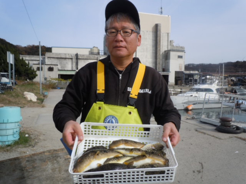 フグの釣果